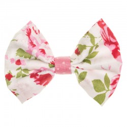 Παπαγαλάκια